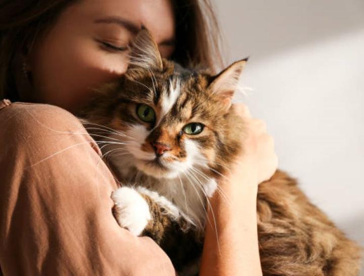 Preventive Care for Cats